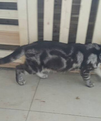 ������ëè3���µܵ����¼�