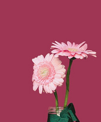 ?һ���˵����磬�ܰ����������Ŀ���������