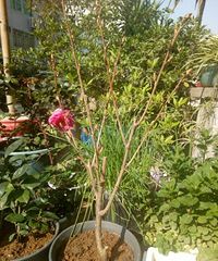 ���۸��᡿ϲ���ֻ�ȥ��������