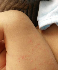 ��ҽ��������������