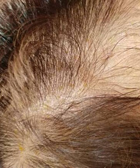 ��ҽ��������������