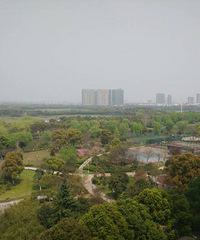 ��ɹ΢���˶��������˰���ģʽ��