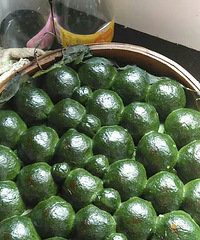 �ص��������������� �����ͺ���ʳ��