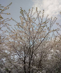 ���ڽ���