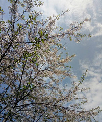 ���ڽ���