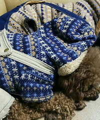 ˭��̩�϶���