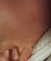 ���ơ��������ϵ���ʲô��