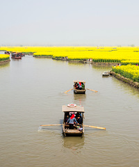 "梦里水乡油菜花"