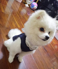 Ѱ��Ů����