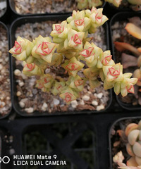 Ŭ������ÿһ�Ŷ���