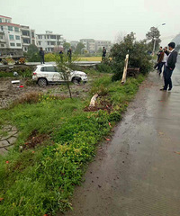 �����⳵�����޷��赲��֪���ٶȶ���