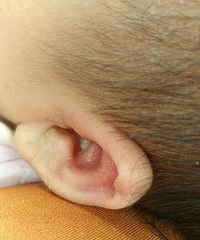 �����ʪ������Ļ�����֢