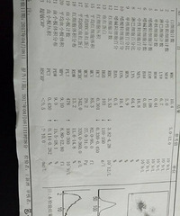 �����ʪ������Ļ�����֢