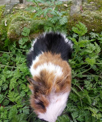 ���������