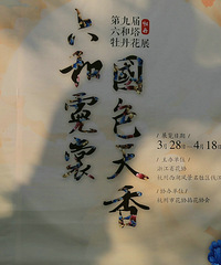 六合霓虹,国色天香----2017六和塔牡丹花展