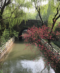 来一碗老杭州的拌川 逛一回杭州的老街