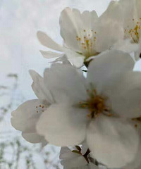 ��ʱֻ��ѧ�ѵĸ���ܱ����Ҵ˿̵�����