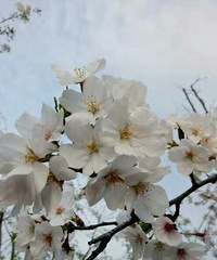 ��ʱֻ��ѧ�ѵĸ���ܱ����Ҵ˿̵�����