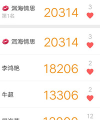 �ֻ�������