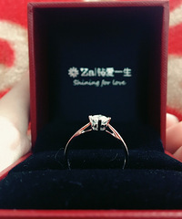 ѡ���갮 ѡ���Ҹ�