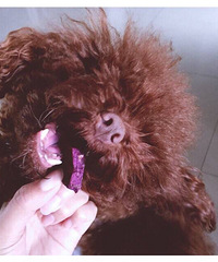 �������ֹ���ʳ