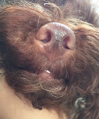 �������ֹ���ʳ