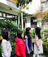 马伊琍晒女儿照片获赞 编民族风彩辫俏皮可爱(图)
