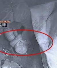 ˳����һ����Ӥ ����ȴ�Ѿ�ز�ۣ�