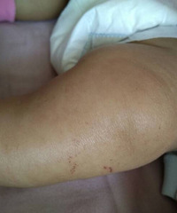 ����������ʪ����