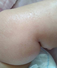 ����������ʪ����