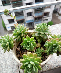 ����һ�������