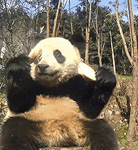 ����Ƶ�ж����Ҿ�Ȼ��һ����è����3��������