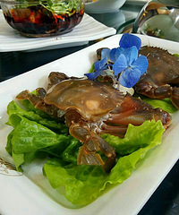 Ԫһ��ׯ��������������� ���з��ƤƤϺ����쵰...������