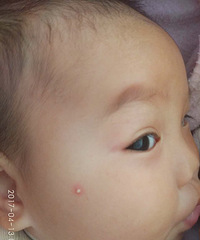 ����ѯ���ң����ơ�����������һ��