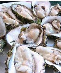 "什么食物含锌多?含锌多的食物水果都在这里了"
