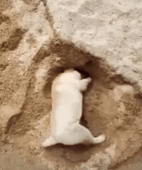 ��ôϸ�ʣ�����ôͻȻ���ˣ�