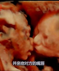 ׼����鿴������ ���־������а�һĻ