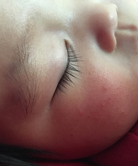 �������ϵ���ʪ����