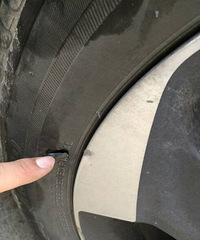 ����������������̥