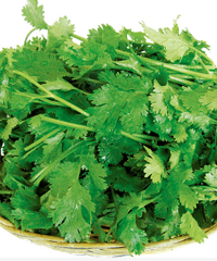 你有“香菜恐惧症”吗?我涮火锅没香菜吃不下!