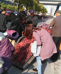 【發(fā)現(xiàn)杭州】攝影比賽+拉著板車賣葡萄