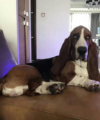 ���ͼ����ĵ�