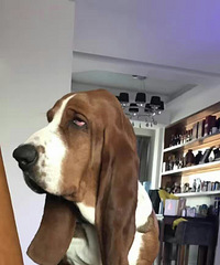 ���ͼ����ĵ�