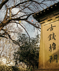 【發(fā)現(xiàn)杭州】攝影比賽-春天的西湖