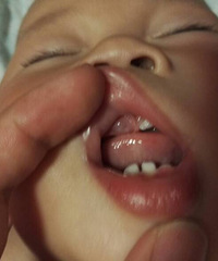 �����������������и��ڵ�