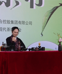 春风十里不如茶香千里 现代联合集团2017年春茶节隆重举行