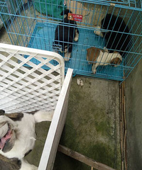 �����ſ���