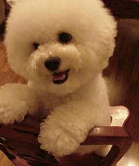 ��Ʒ����