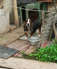 �ؽ�Ѱ�� �����ͼ���