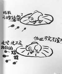 һ������ͻ��ġ�С��������衷ˢ��������Ȧ��С��򽶼���滵��